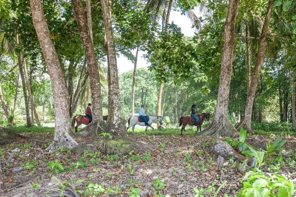 Relax Natural Village Adults Only Puerto Viejo de Talamanca Екстериор снимка